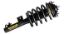 Picture of Strut Assembly